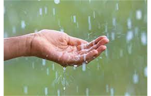 T BALL GAMES CANCELED TODAY